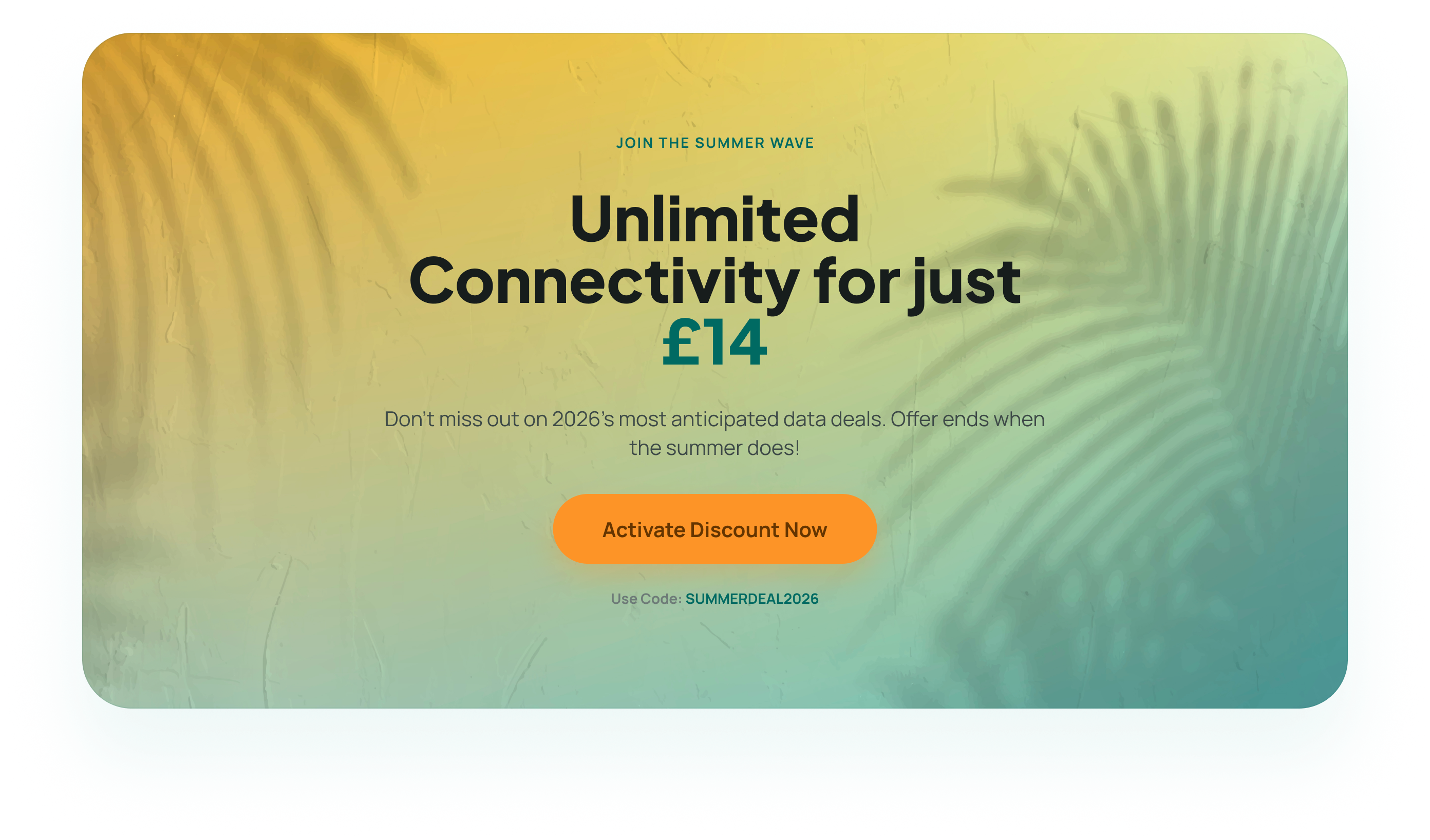 Summer Promotional Offer