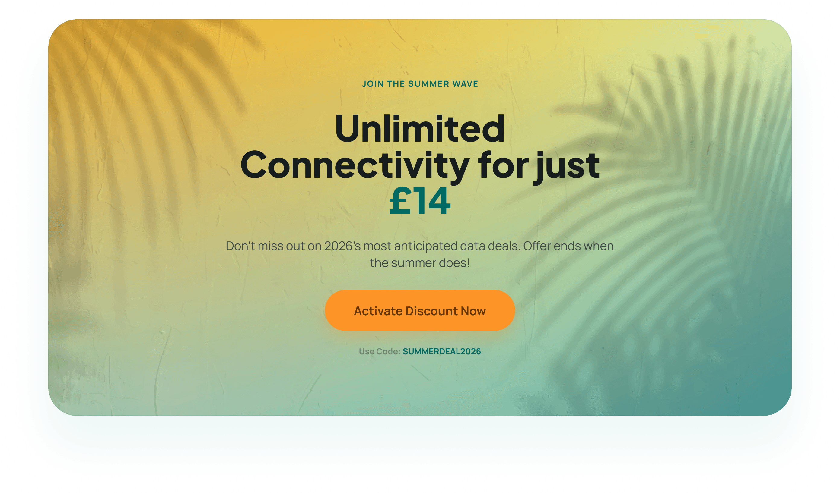 Summer Promotional Offer